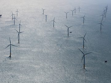 80 turbines éoliennes